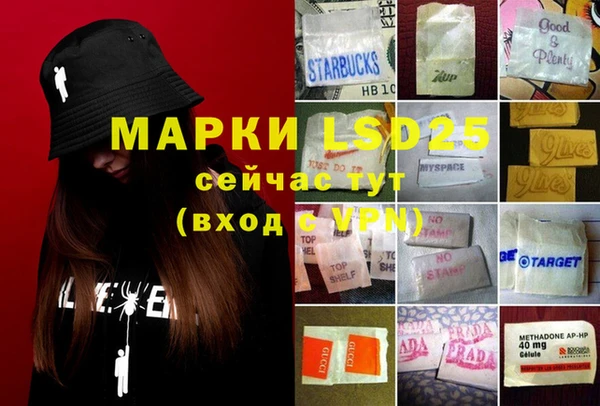 ПСИЛОЦИБИНОВЫЕ ГРИБЫ Новокубанск