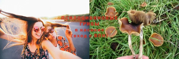 первитин Новодвинск