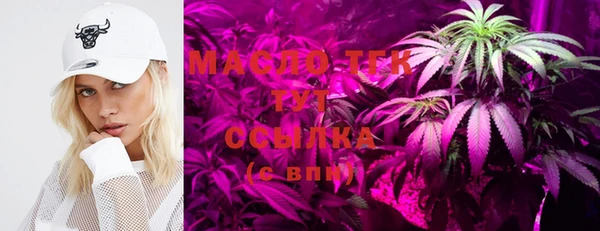 первитин Новодвинск